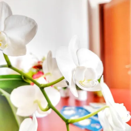 Dimora Sea View דירה